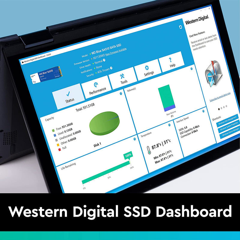 Western Digital Blue SA510 2.5" 250 GB Serial ATA III