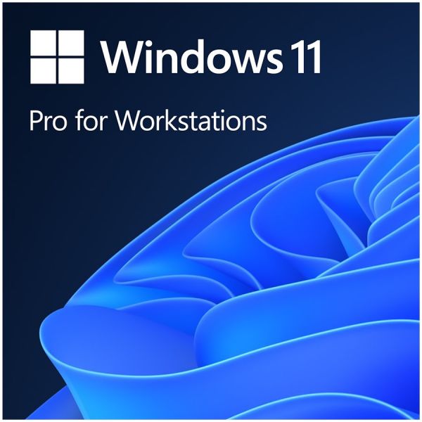 Microsoft HZV-00101 Windows 11 Professional for Workstation 64 BIT