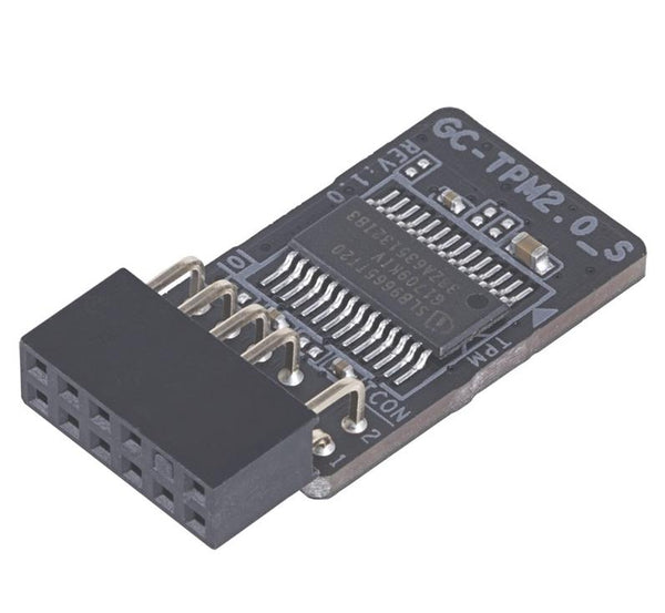 Gigabyte GC-TPM2.0 data encryption device Internal